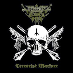 Terrorist Warfare