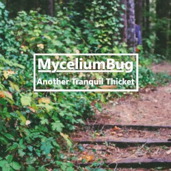 Another Tranquil Thicket