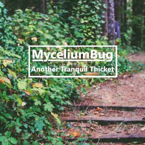 Another Tranquil Thicket
