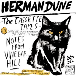 The Cassette Tapes from Vinegar Hill