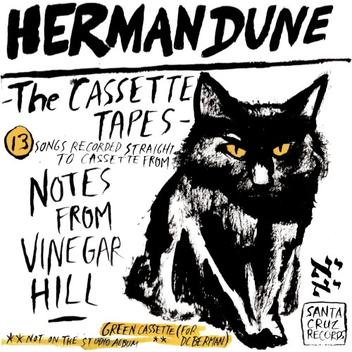 The Cassette Tapes from Vinegar Hill