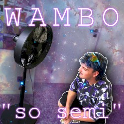 so semi