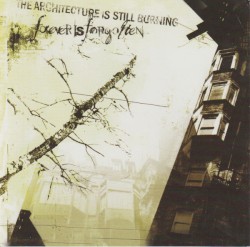 The Architecture Is Still Burning