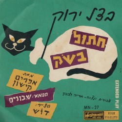חתול בשק