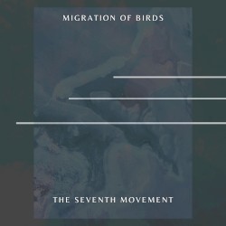 Migration Of Birds