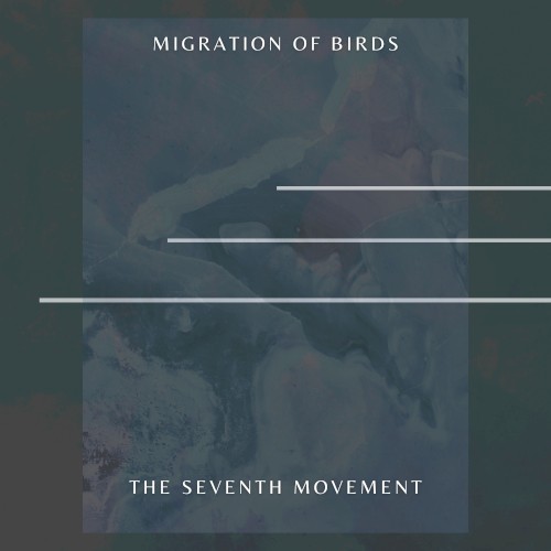 Migration Of Birds