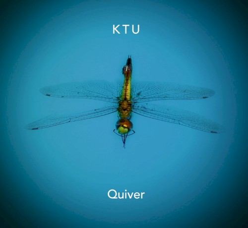 Quiver
