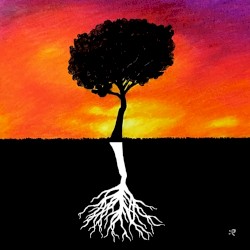 Below the Root
