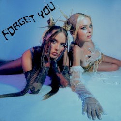 Forget You