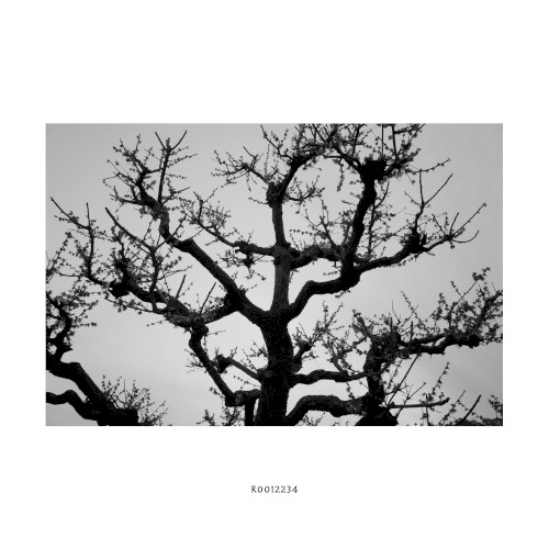 R0012234