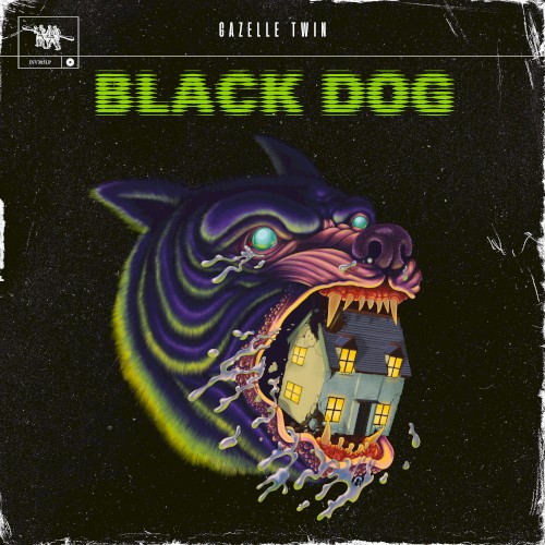 Black Dog