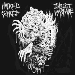 Hatred Surge / Insect Warfare