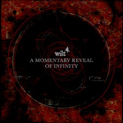 A Momentary Reveal of Infinity