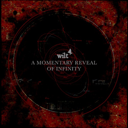 A Momentary Reveal of Infinity