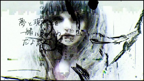 胎児の夢