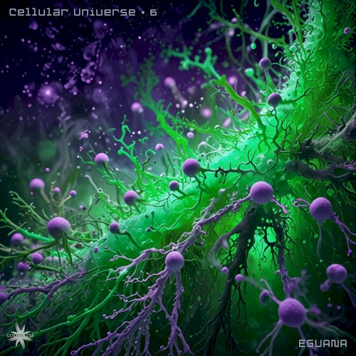 Cellular Universe 6