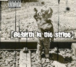【Re:birth in the stripe】