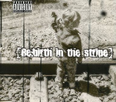 【Re:birth in the stripe】