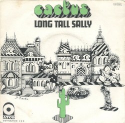 Long Tall Sally