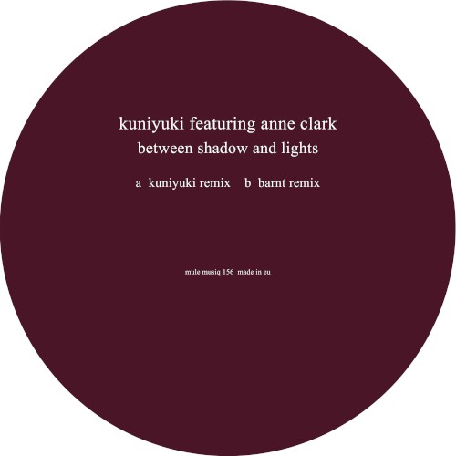 Between Shadow and Lights