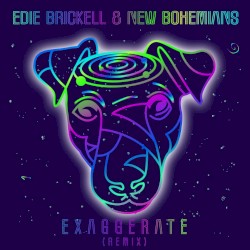 Exaggerate (remix)