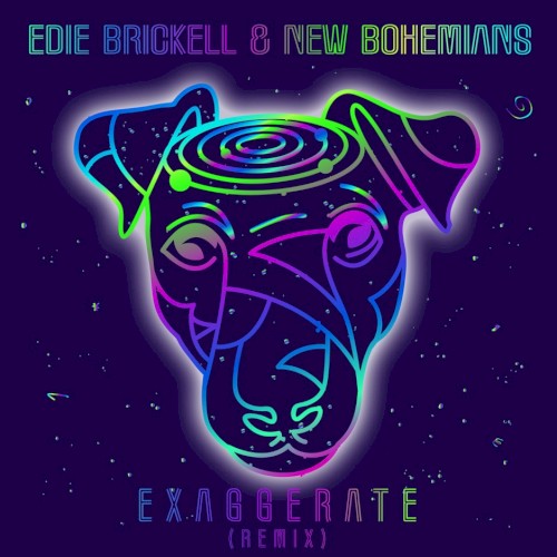 Exaggerate (remix)