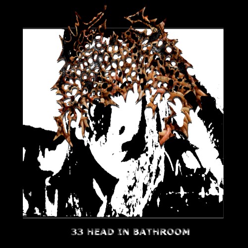33 Head In Bathroom