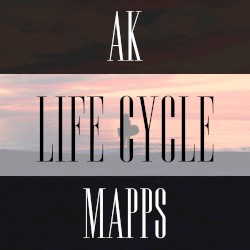 Life Cycle