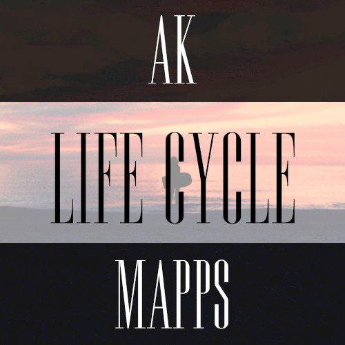 Life Cycle