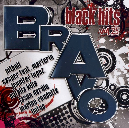 Bravo Black Hits, Vol. 25