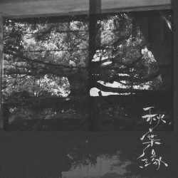 秋葉緣