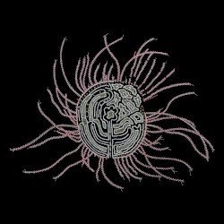 Bearings: Soundtracks for the Bardos