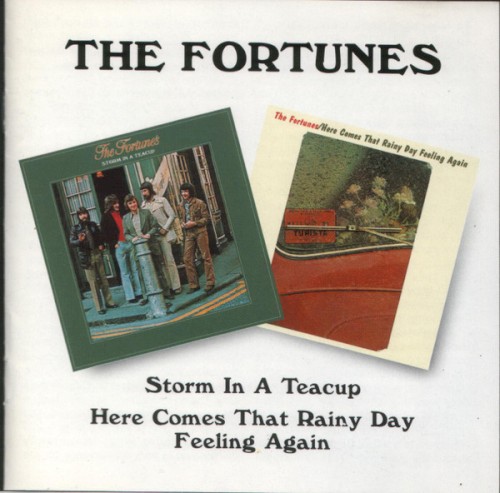 Storm in a Teacup / Here Comes That Rainy Day Feeling Again