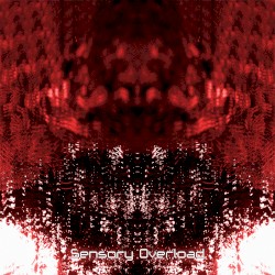 Sensory Overload
