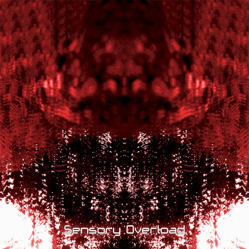 Sensory Overload
