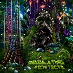 Modulating Architects