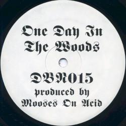 One Day in the Woods