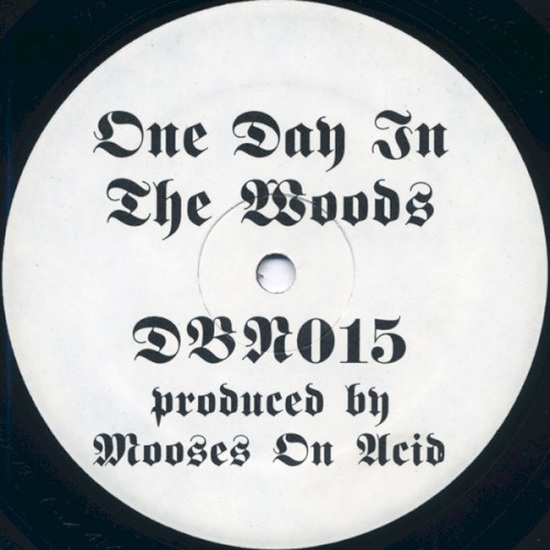 One Day in the Woods