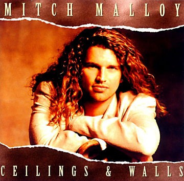 Ceilings & Walls