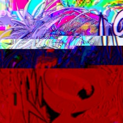 EVERYWERE AT THE END OF INTERNET