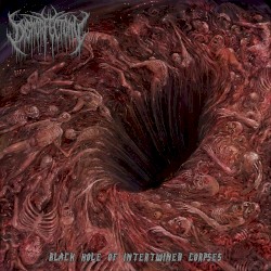 Black Hole of Intertwined Corpses