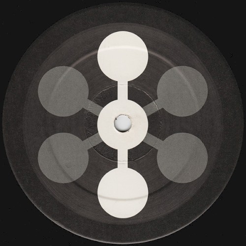 The House Is Mine / Pioneers of the Warped Groove