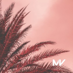 Summer Dreamin