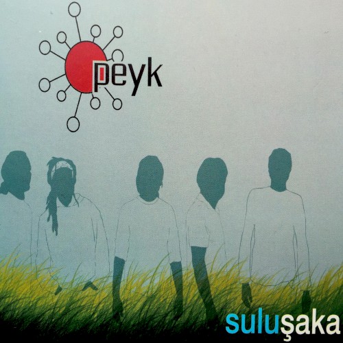 Suluşaka