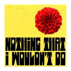 Nothing That I Wouldn't Do