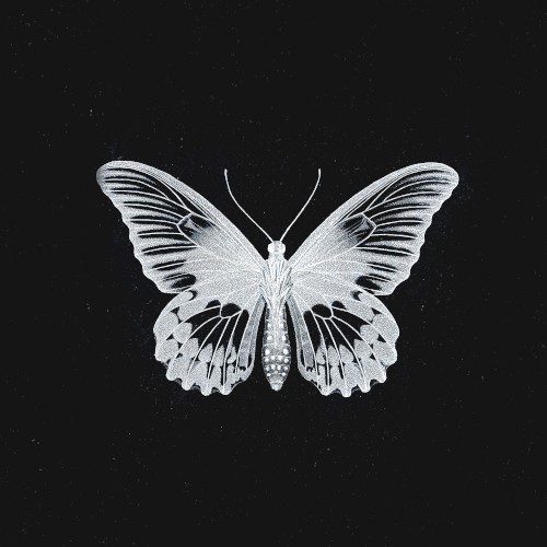 Monarch