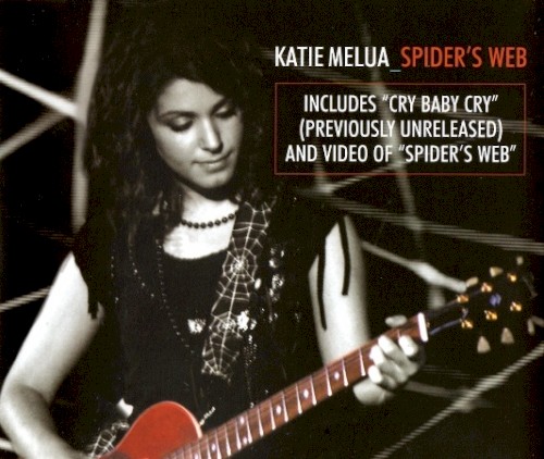 Spider’s Web