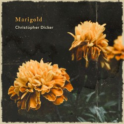 Marigold