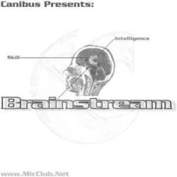 The Brainstream EP