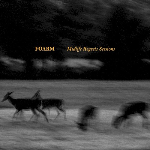 Midlife Regrets Sessions
